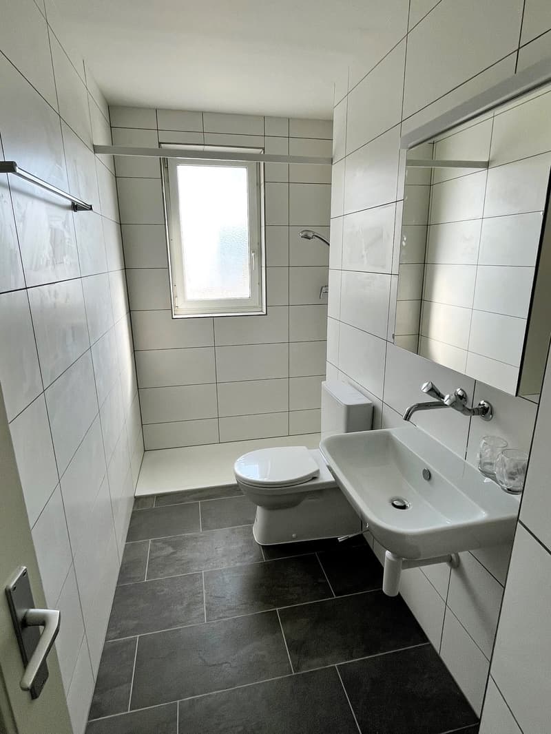 Appartement lumineux 3.5 pièces avec balcon - cuisine neuve (5)