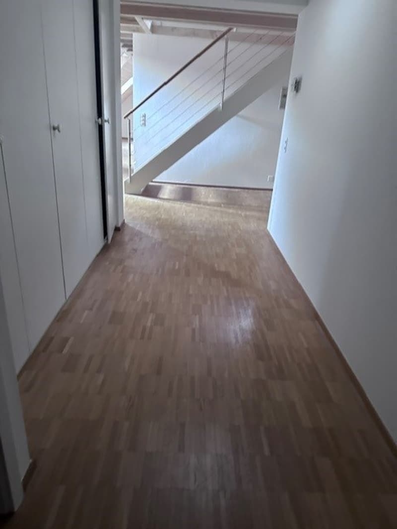 Renovated 3.5-room attic apartment - new kitchen (7)
