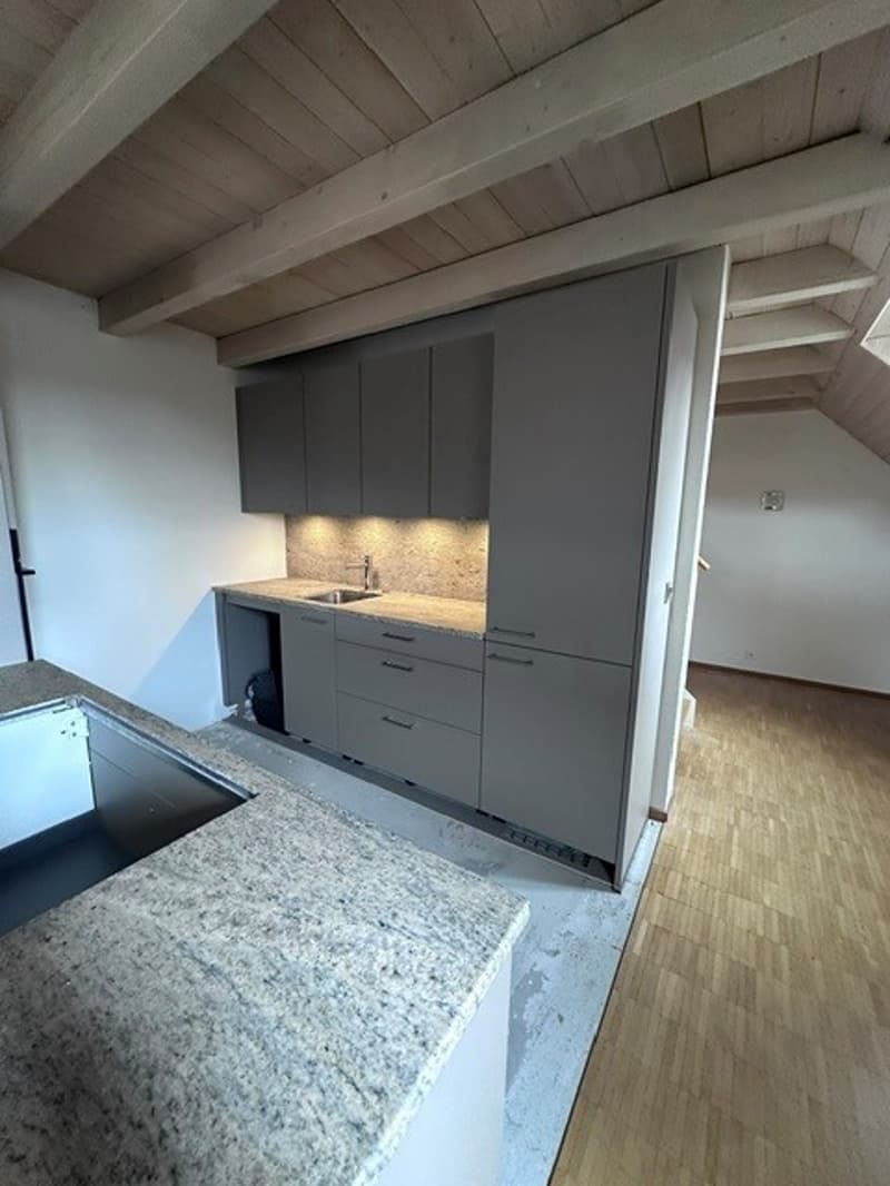 Renovated 3.5-room attic apartment - new kitchen (3)