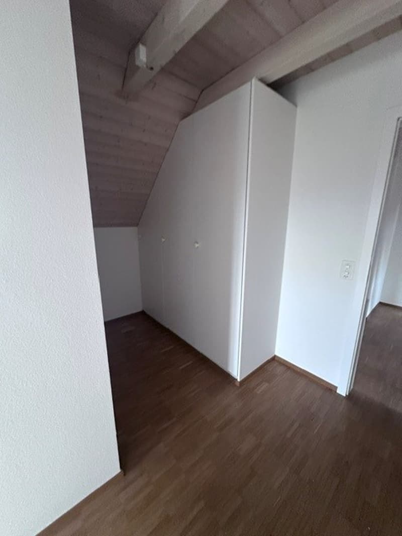 Renovated 3.5-room attic apartment - new kitchen (6)