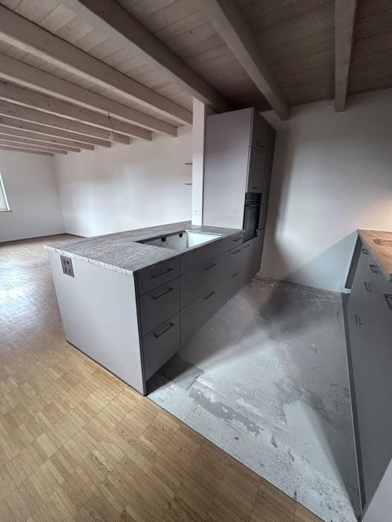 Renovated 3.5-room attic apartment - new kitchen (2)