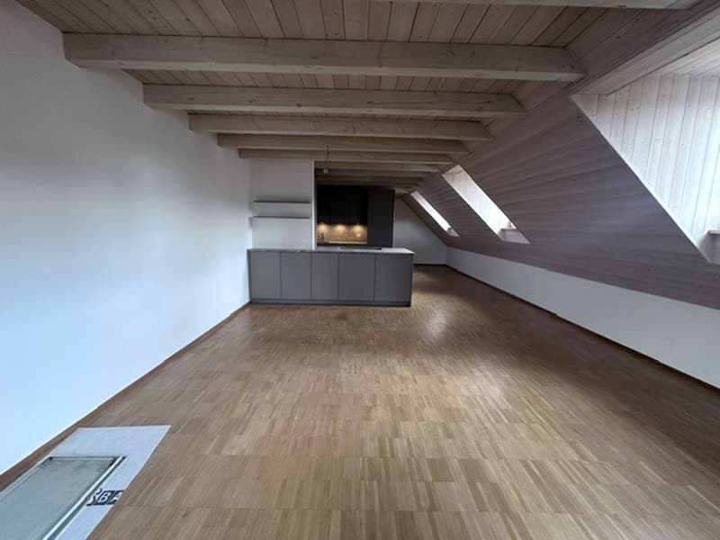 Renovated 3.5-room attic apartment - new kitchen (1)