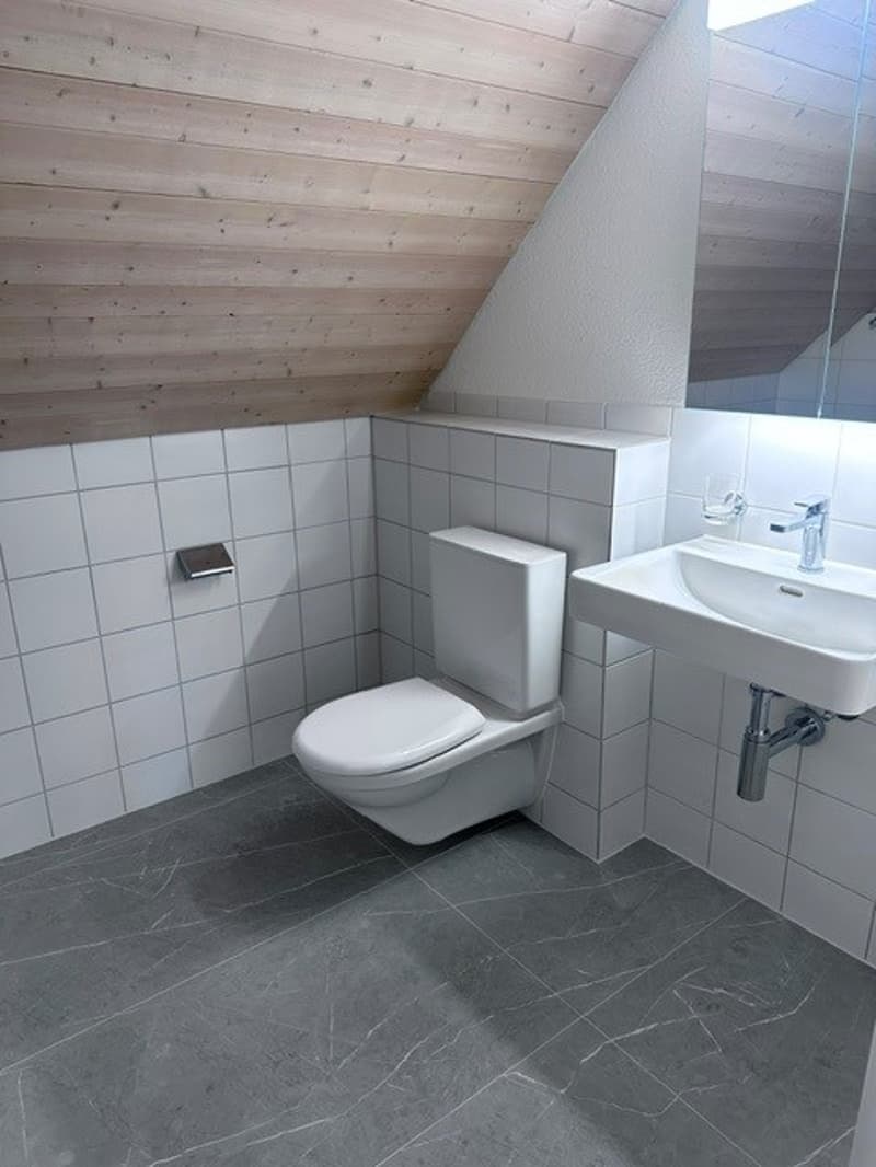 Renovated 3.5-room attic apartment - new kitchen (13)