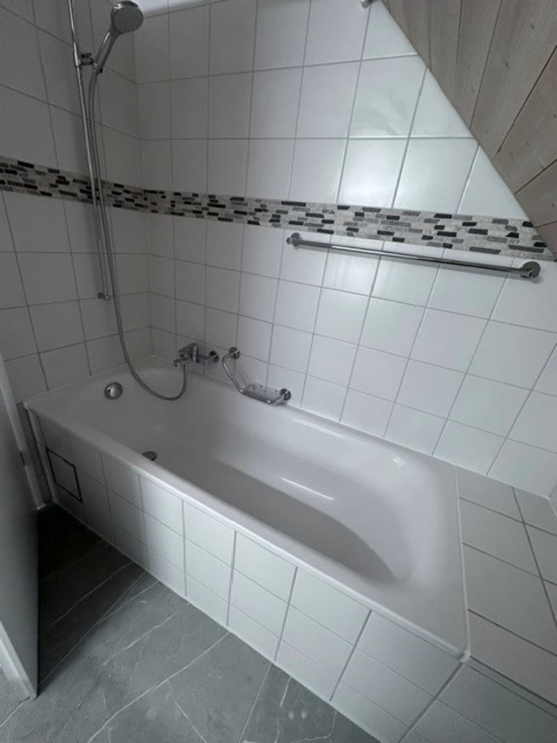 Renovated 3.5-room attic apartment - new kitchen (12)