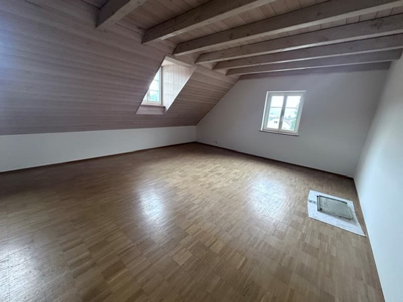Renovated 3.5-room attic apartment - new kitchen (4)