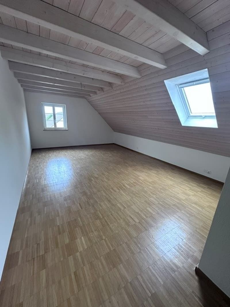 Renovated 3.5-room attic apartment - new kitchen (5)