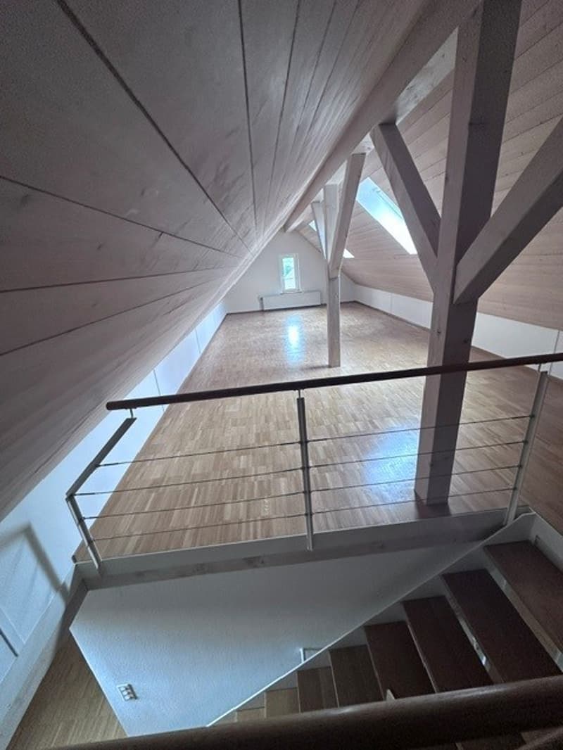 Renovierte 3.5-Zimmer-Dachwohnung - neue Küche (10)