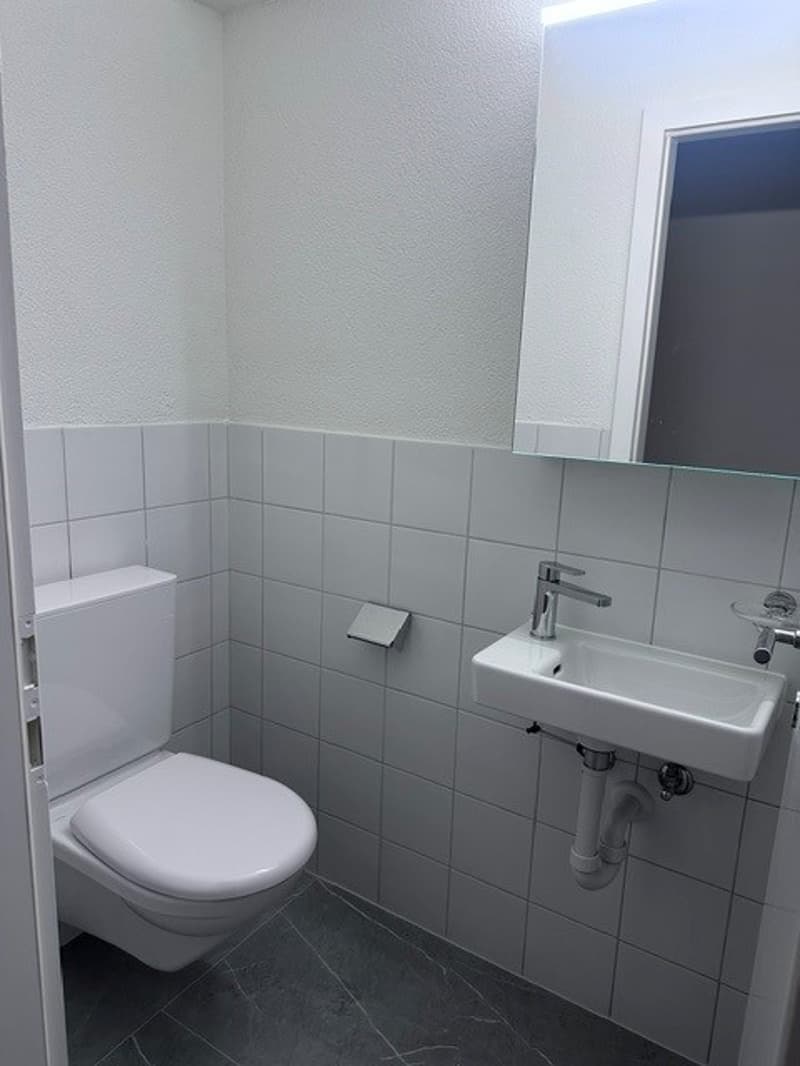 Renovierte 3.5-Zimmer-Dachwohnung - neue Küche (14)