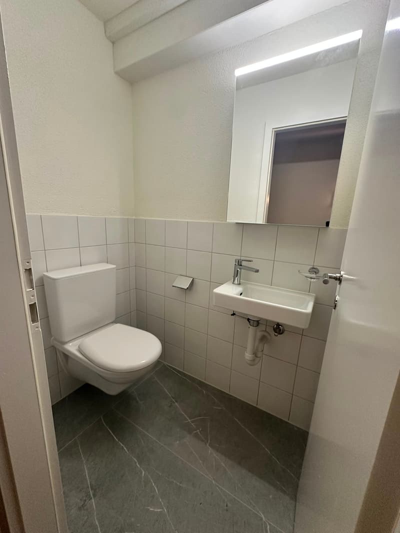 Appartement de charpente rénové de 3,5 pièces - nouvelle cuisine (23)