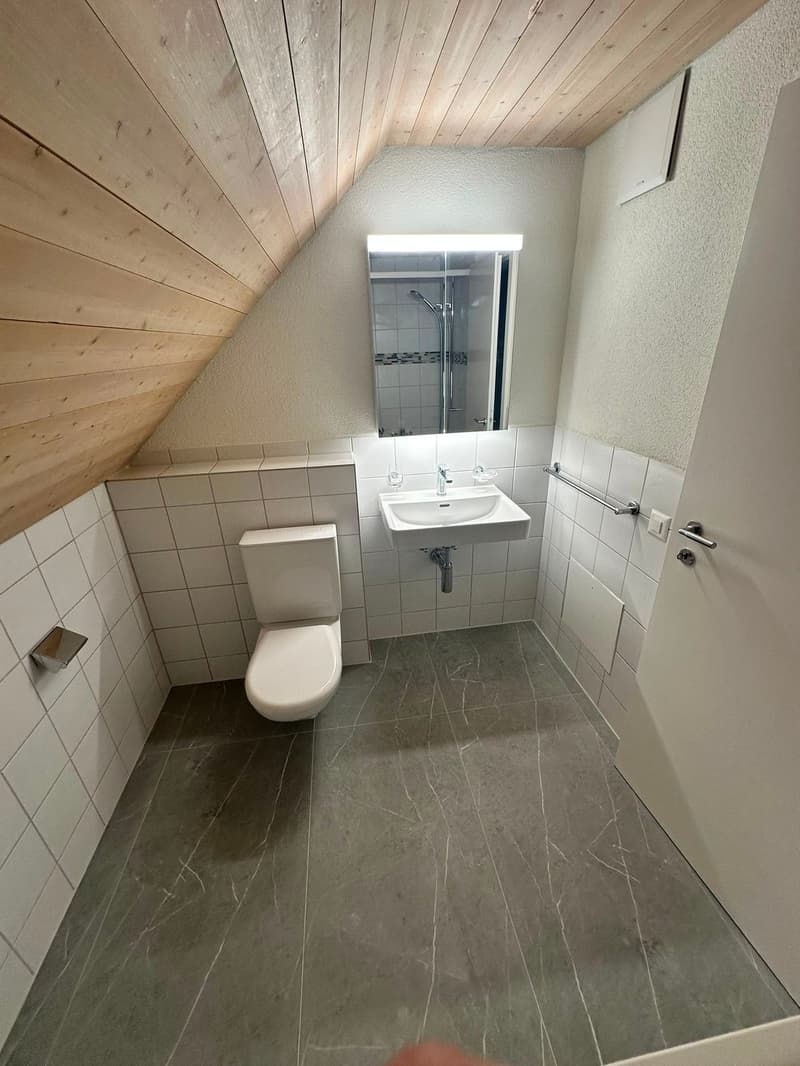 Appartement de charpente rénové de 3,5 pièces - nouvelle cuisine (21)