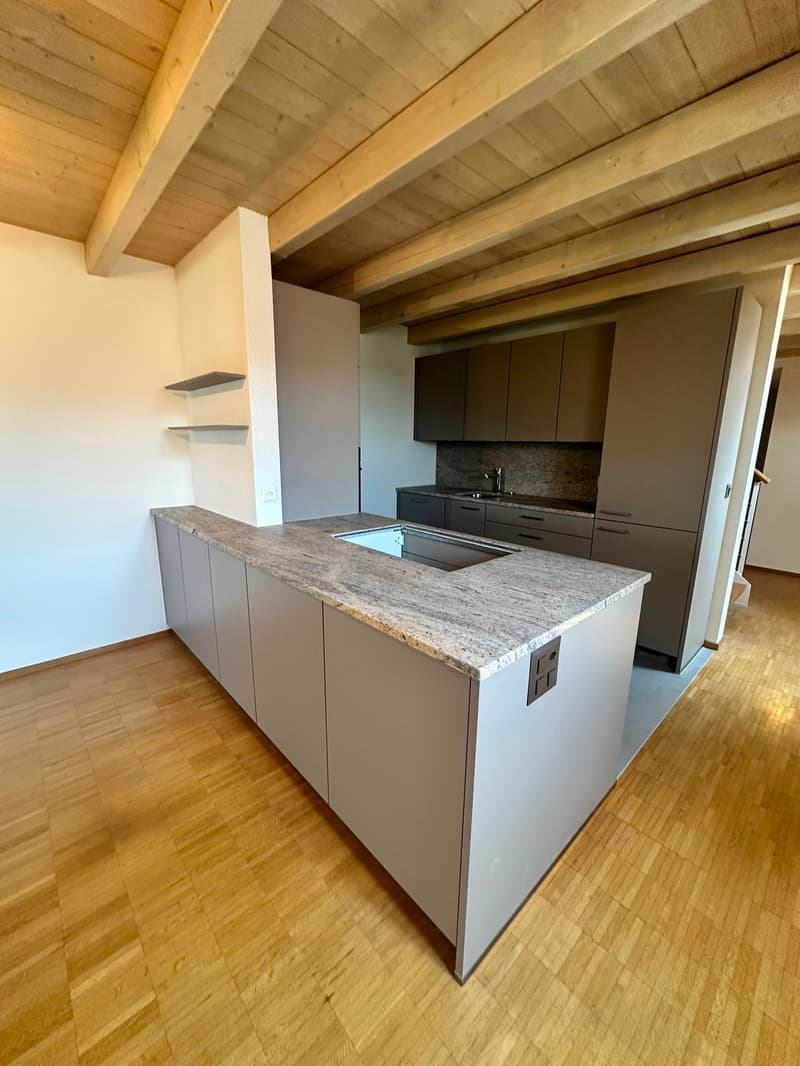 Appartement de charpente rénové de 3,5 pièces - nouvelle cuisine (3)