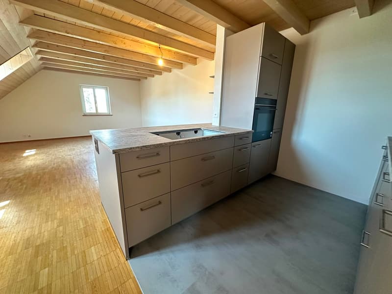 Appartement de charpente rénové de 3,5 pièces - nouvelle cuisine (5)