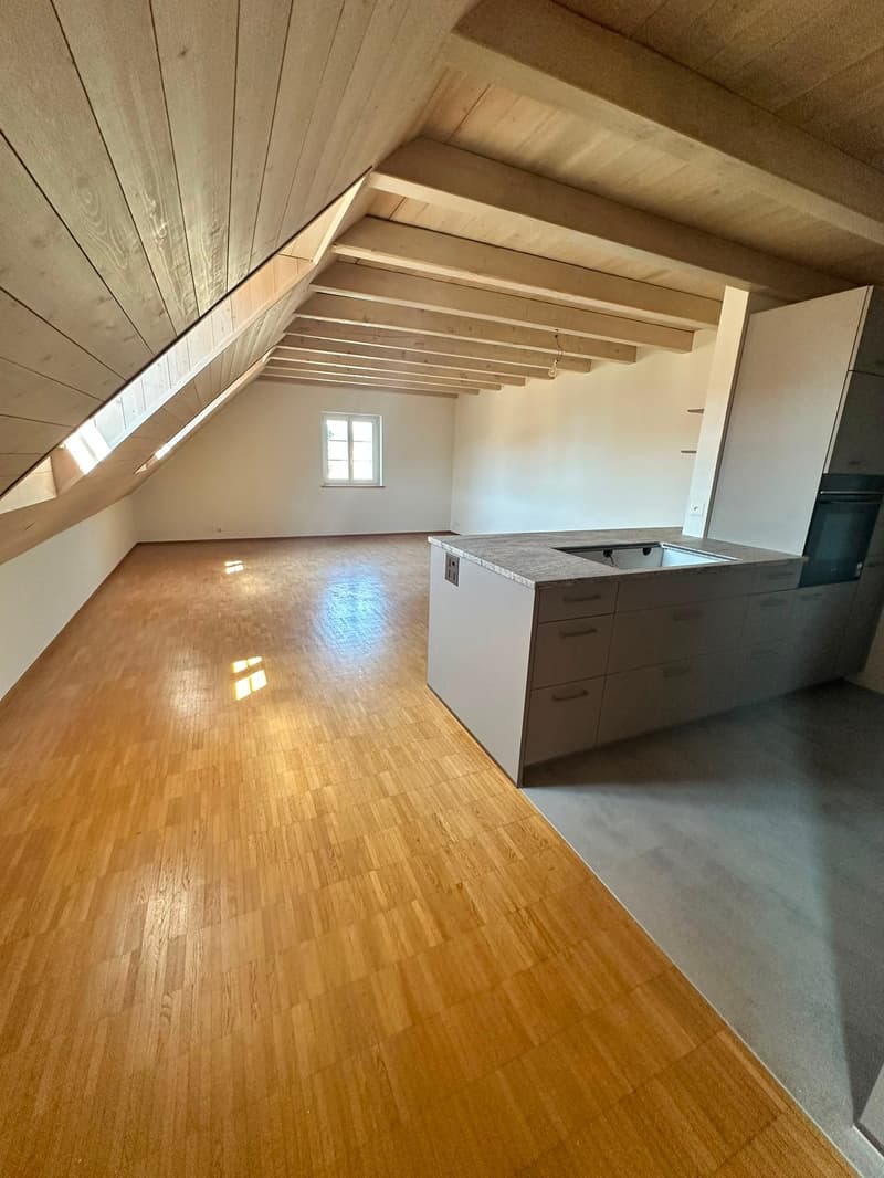 Appartement de charpente rénové de 3,5 pièces - nouvelle cuisine (7)