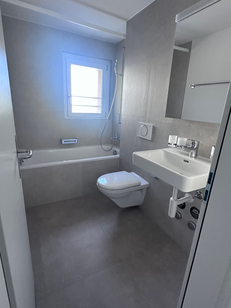 Kürzlich sanierte, moderne 3 Zimmer Wohnung mit Balkon – sofort verfügbar! (7)