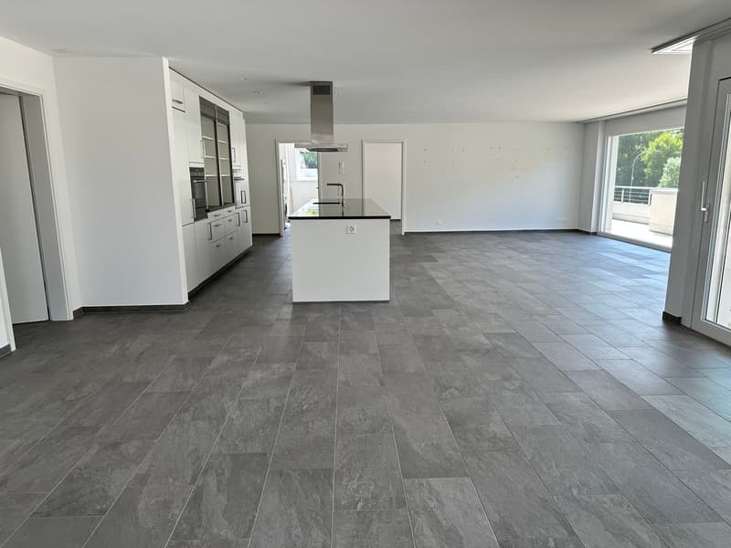 Top moderne 4.5-Zimmer-Dachwohnung ca. 175m2 mit grossem Balkon mit Blick ins Grüne (5)
