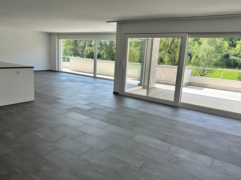 Top moderne 4.5-Zimmer-Dachwohnung ca. 175m2 mit grossem Balkon mit Blick ins Grüne (9)