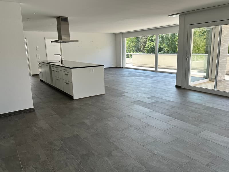 Top moderne 4.5-Zimmer-Dachwohnung ca. 175m2 mit grossem Balkon mit Blick ins Grüne (8)