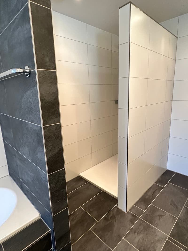 Top moderne 4.5-Zimmer-Dachwohnung ca. 175m2 mit grossem Balkon mit Blick ins Grüne (21)