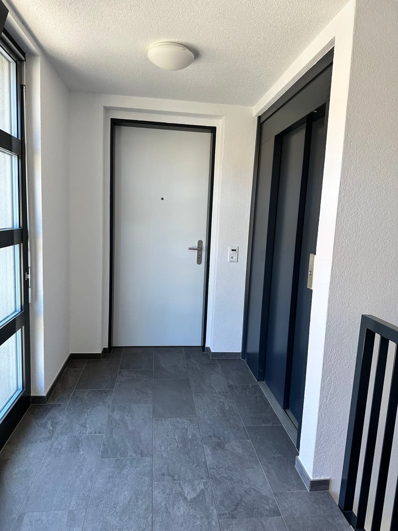 Top moderne 4.5-Zimmer-Dachwohnung ca. 175m2 mit grossem Balkon mit Blick ins Grüne (24)