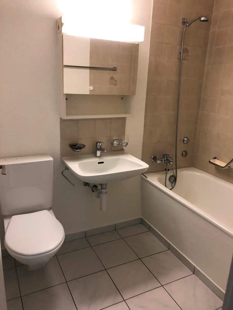 Helle 3.5-Zimmer-Wohnung mit Balkon im ruhigen Schwadernau (7)