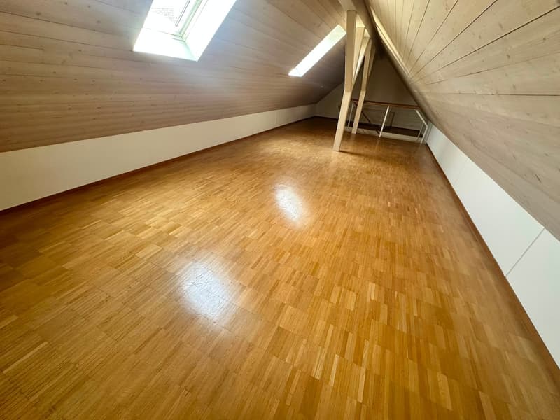 Renovierte 3.5-Zimmer-Dachwohnung - neue Küche (16)