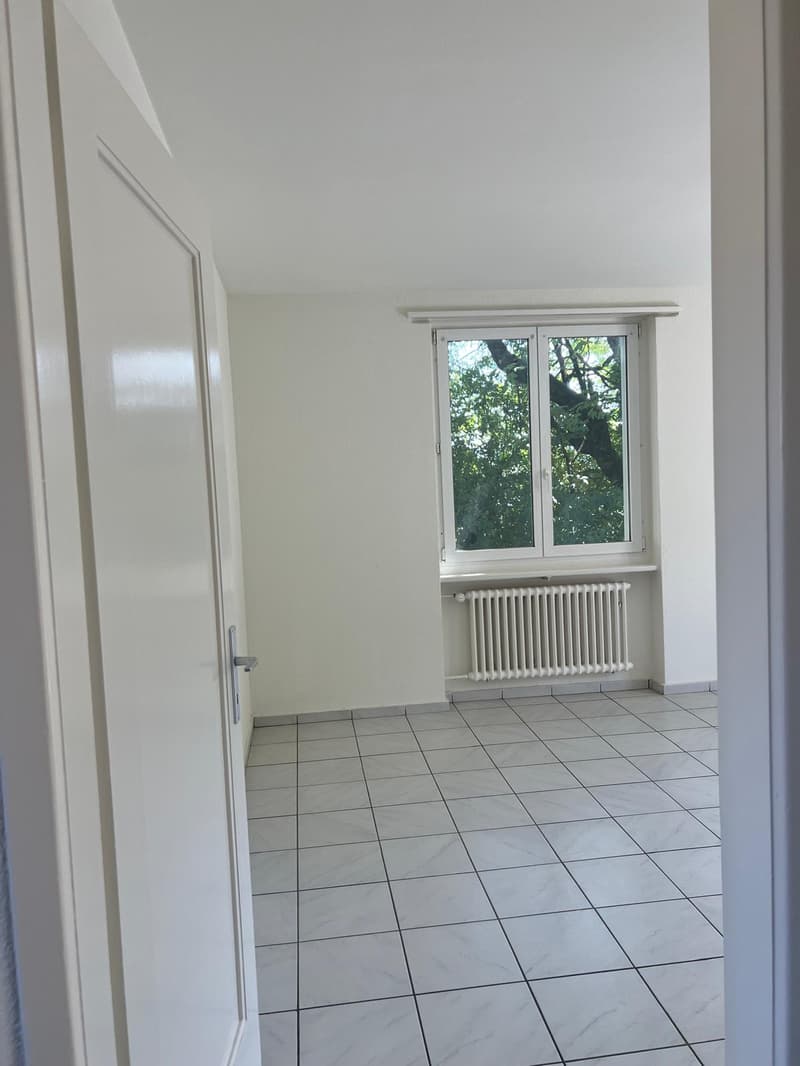 Helle 3.5-Zimmer-Wohnung mit Balkon - neue Küche (8)