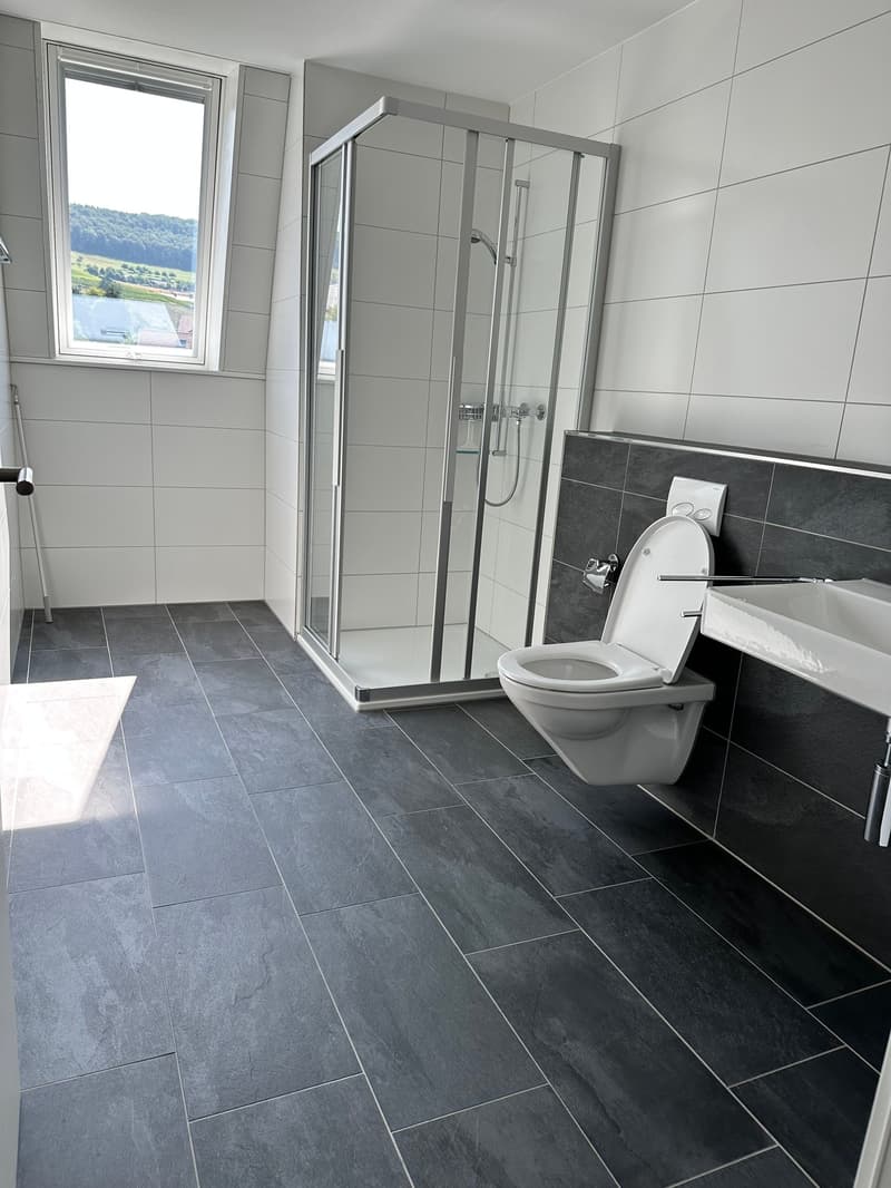 Top moderne 4.5-Zimmer-Dachwohnung mit Blick ins Grüne (22)