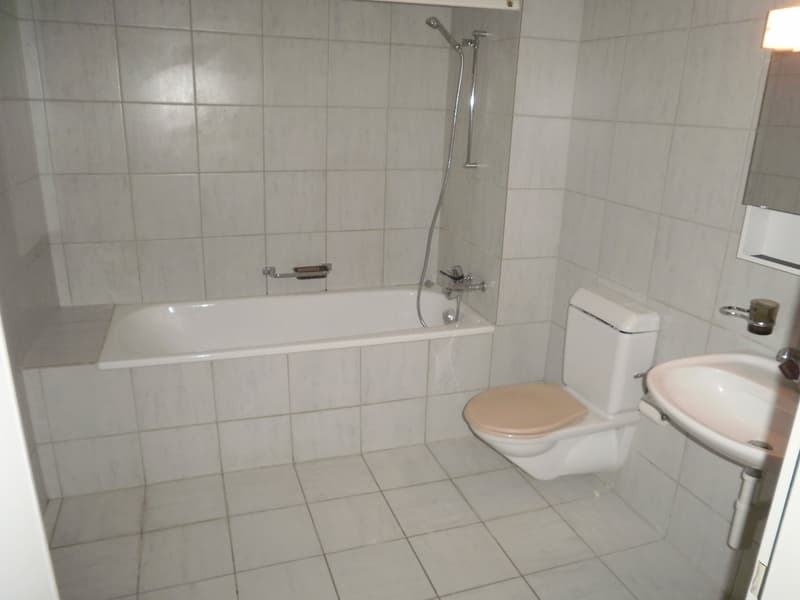Gemütliche 4.5 Zimmer Wohnung mit grosser, überdachter Laube (14)