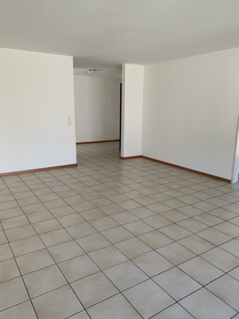 Schöne, grosszügige 3.5 Zimmer Wohnung mit neuer Küche (6)