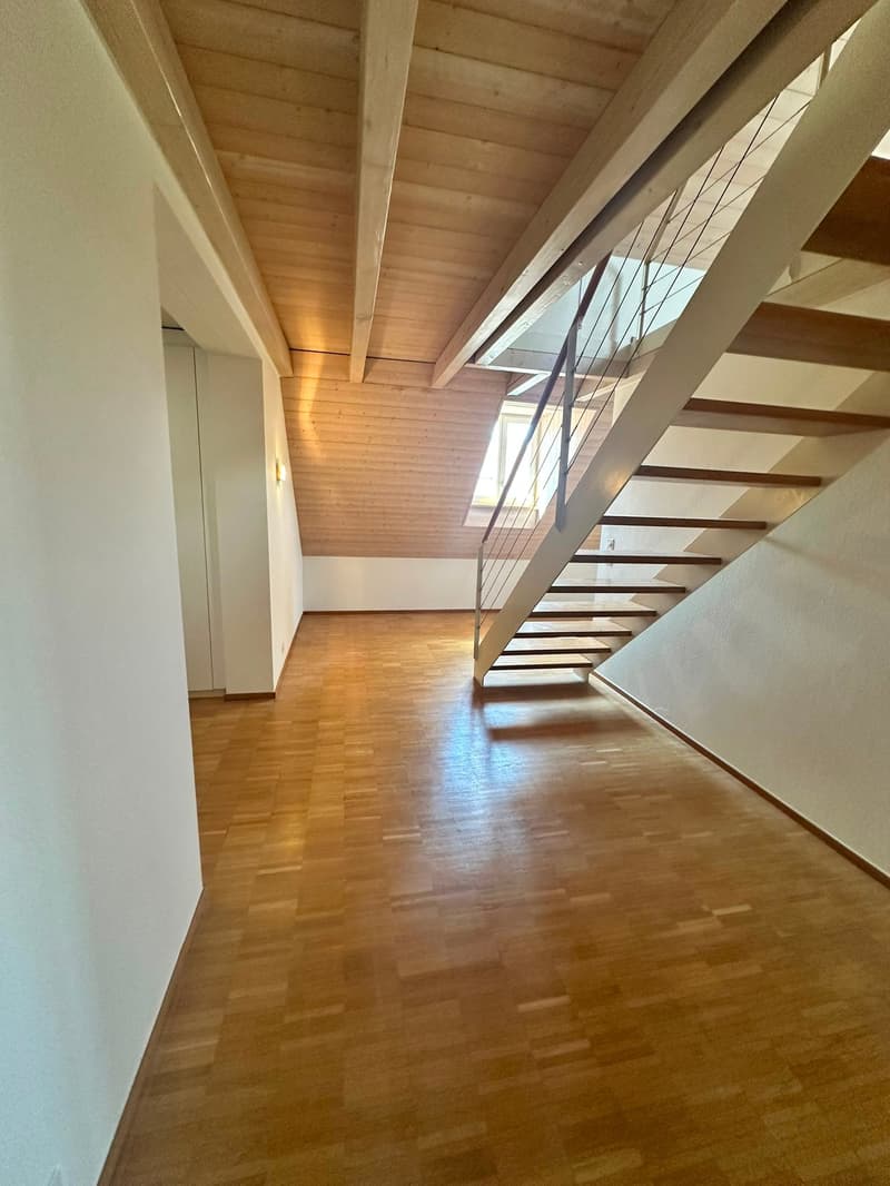 Renovierte 3.5-Zimmer-Dachwohnung - neue Küche (13)