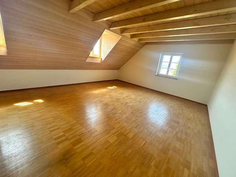 Renovierte 3.5-Zimmer-Dachwohnung - neue Küche (6)