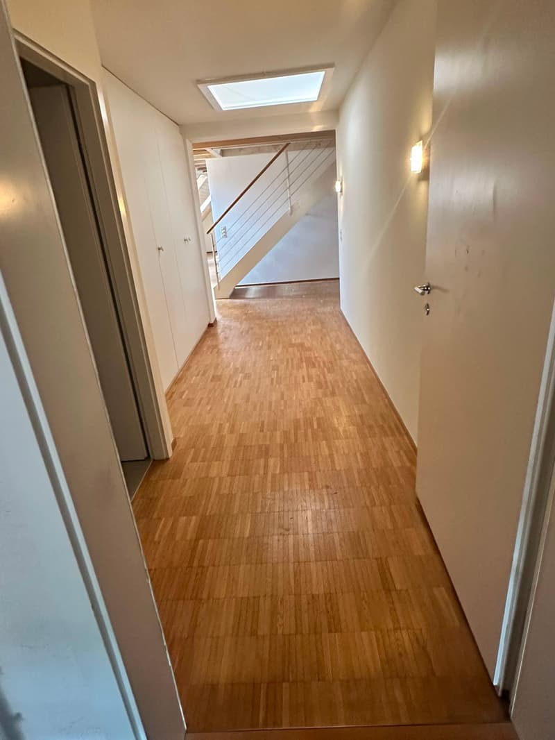 Renovierte 3.5-Zimmer-Dachwohnung - neue Küche (12)