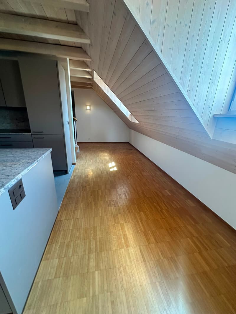 Renovierte 3.5-Zimmer-Dachwohnung - neue Küche (5)