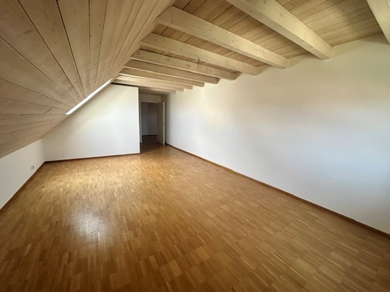 Renovierte 3.5-Zimmer-Dachwohnung - neue Küche (7)