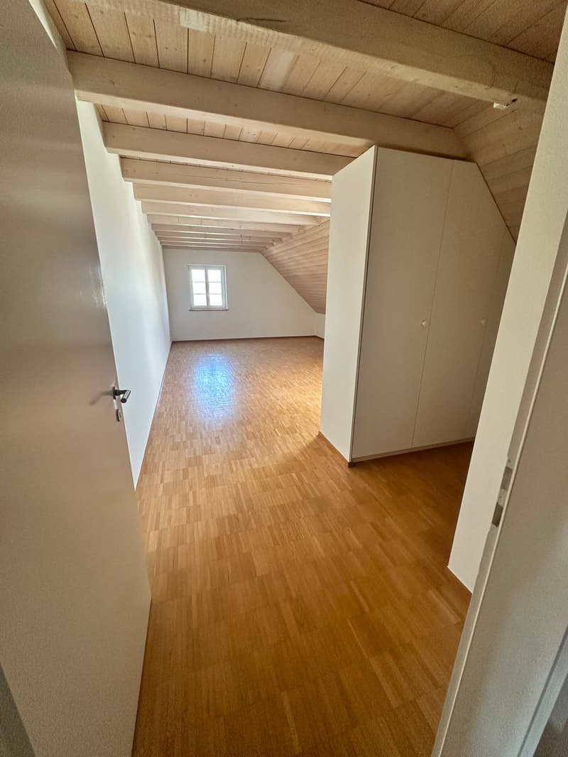 Renovierte 3.5-Zimmer-Dachwohnung - neue Küche (8)