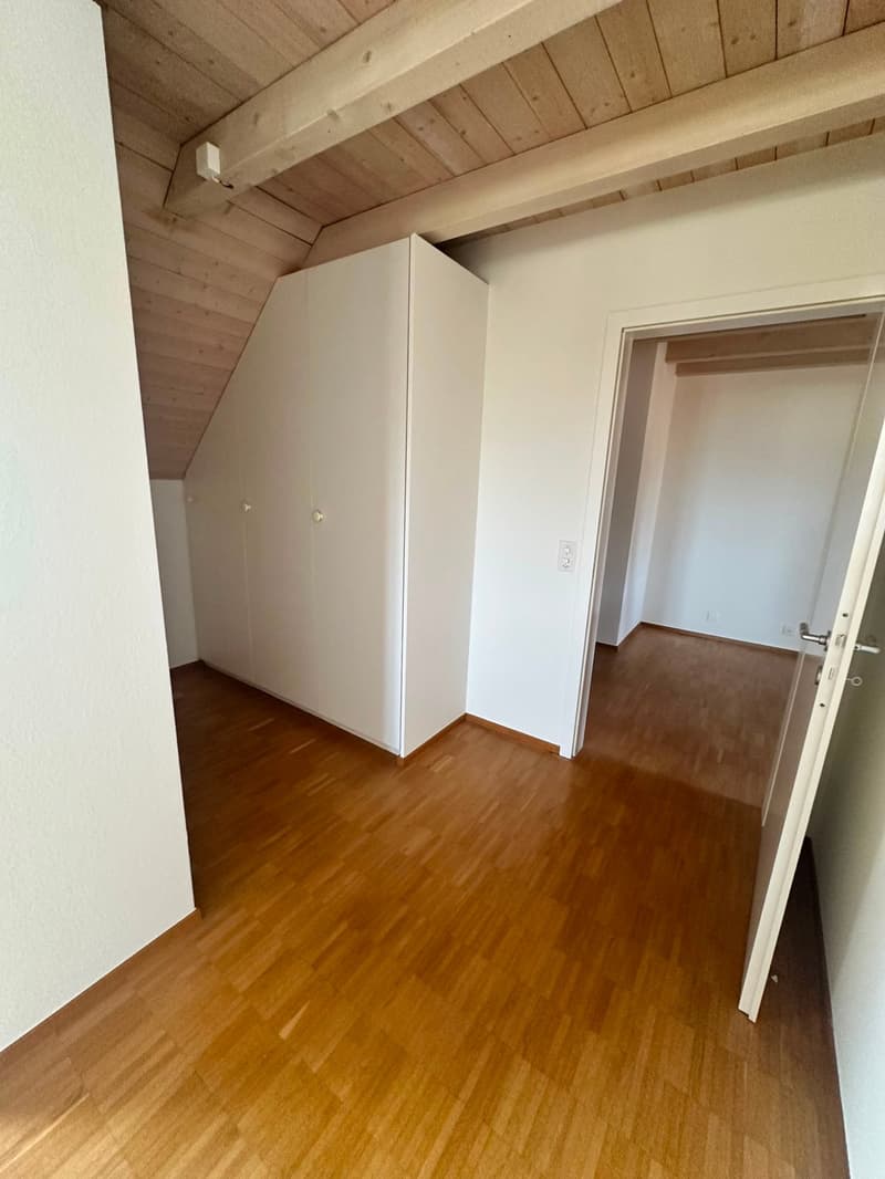 Renovierte 3.5-Zimmer-Dachwohnung - neue Küche (10)