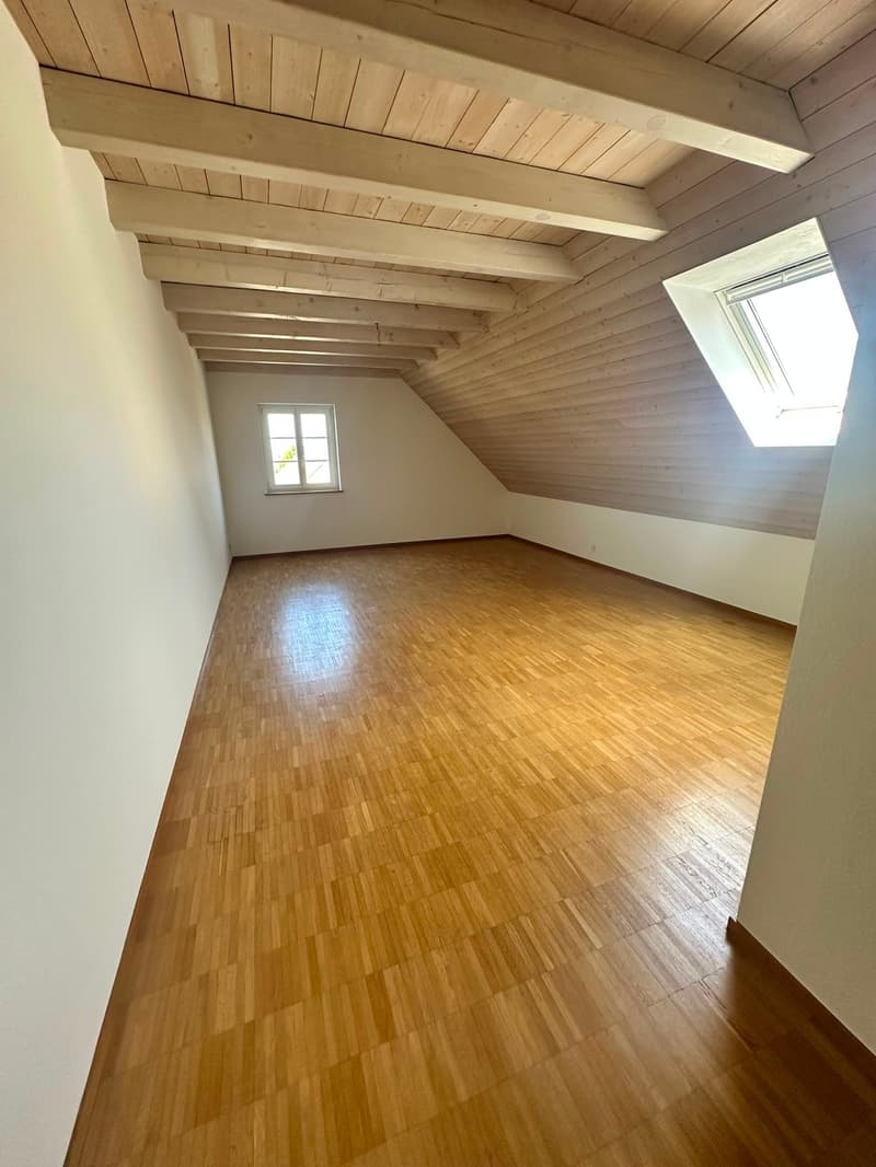 Renovierte 3.5-Zimmer-Dachwohnung - neue Küche (9)