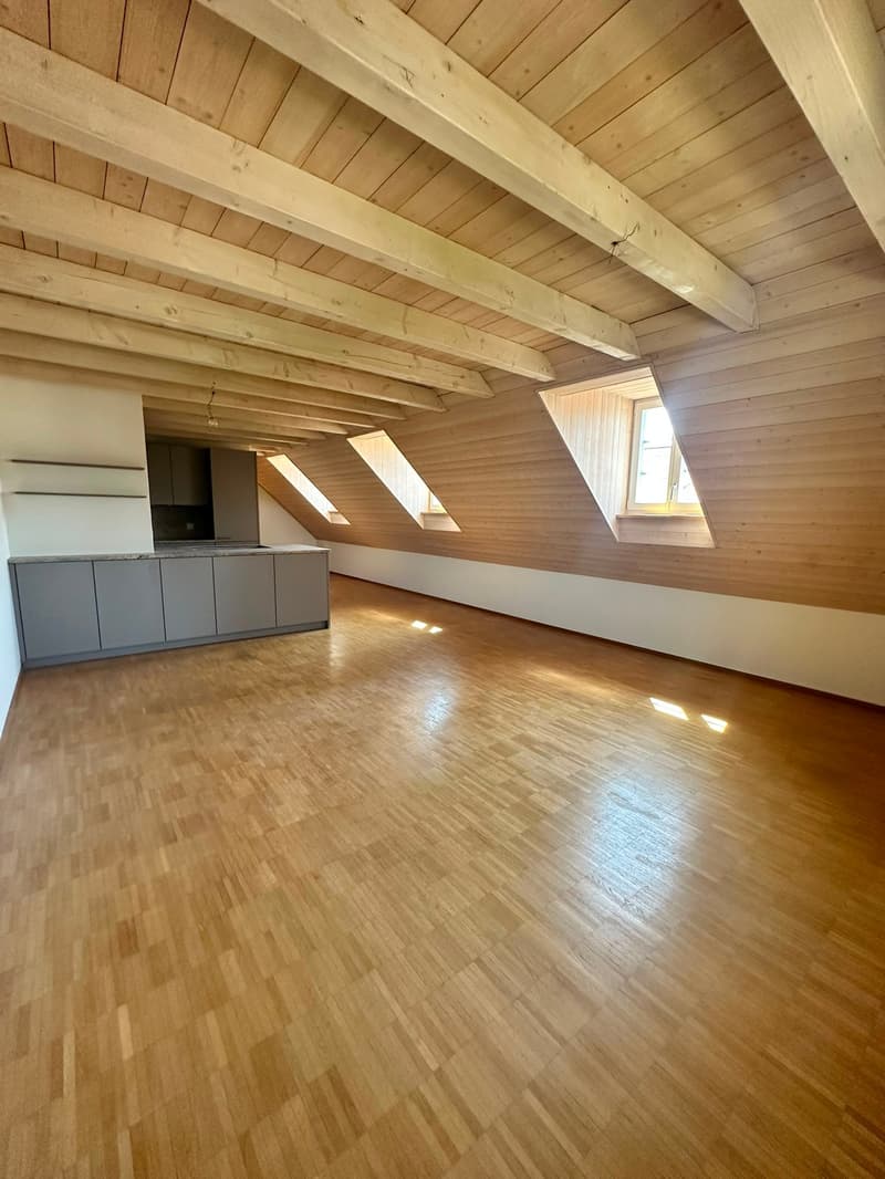 Renovierte 3.5-Zimmer-Dachwohnung - neue Küche (4)