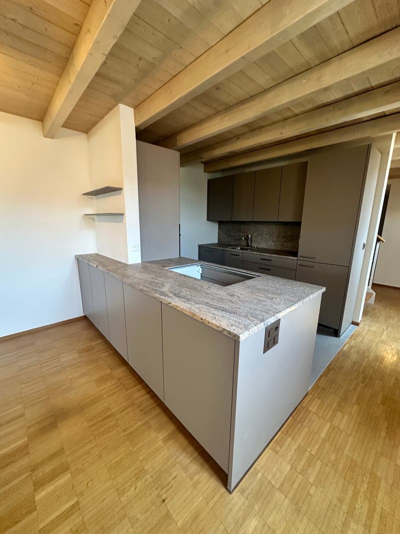 Renovierte 3.5-Zimmer-Dachwohnung - neue Küche (1)