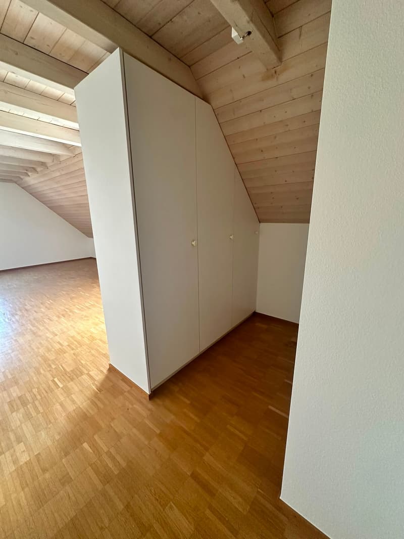 Renovierte 3.5-Zimmer-Dachwohnung - neue Küche (11)