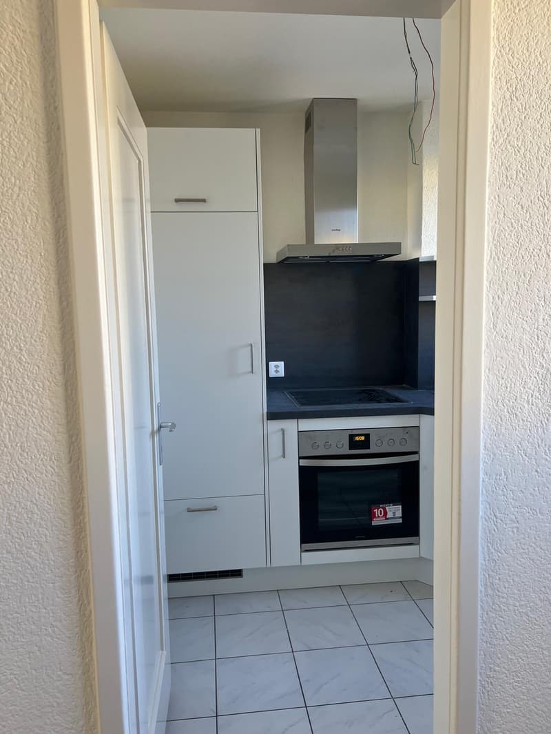 Teilrenovierte 3.5-Zimmer-Wohnung mit neuer Küche (3)