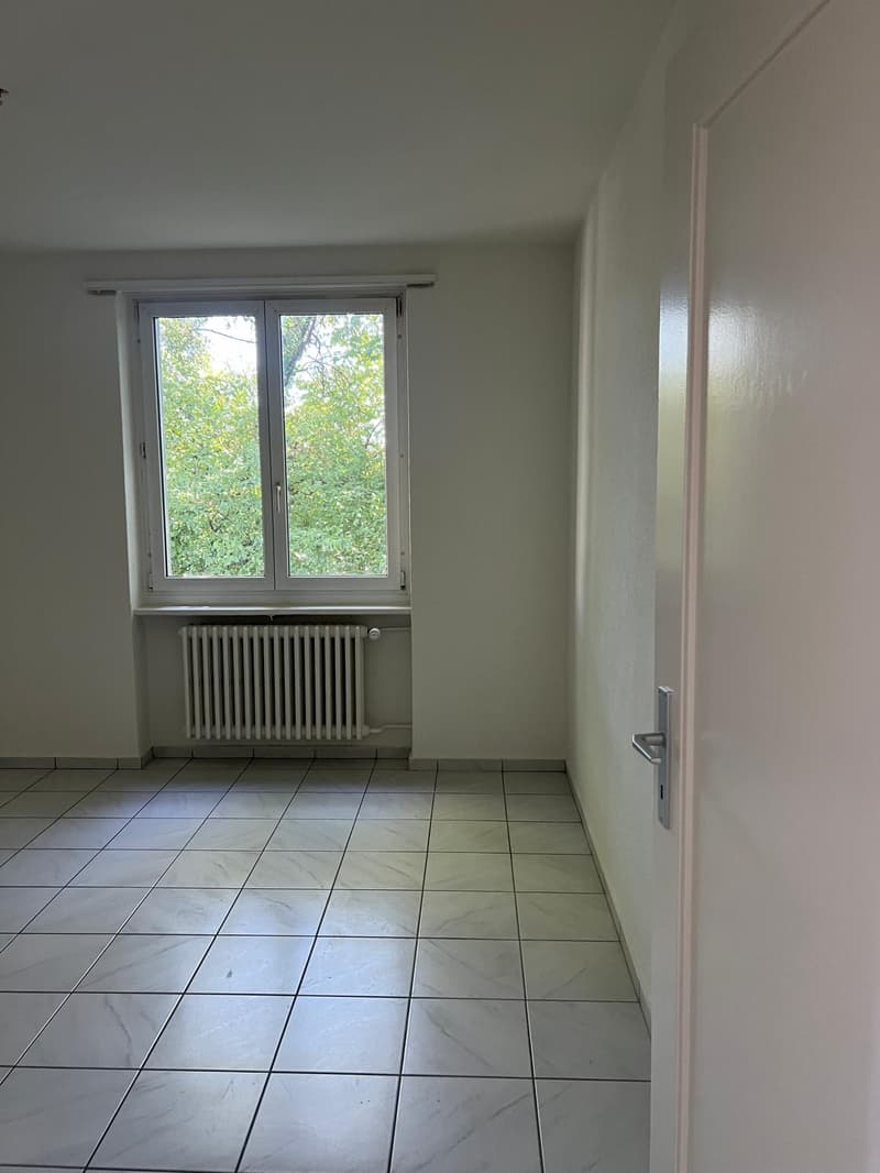 Teilrenovierte 3.5-Zimmer-Wohnung mit neuer Küche (10)
