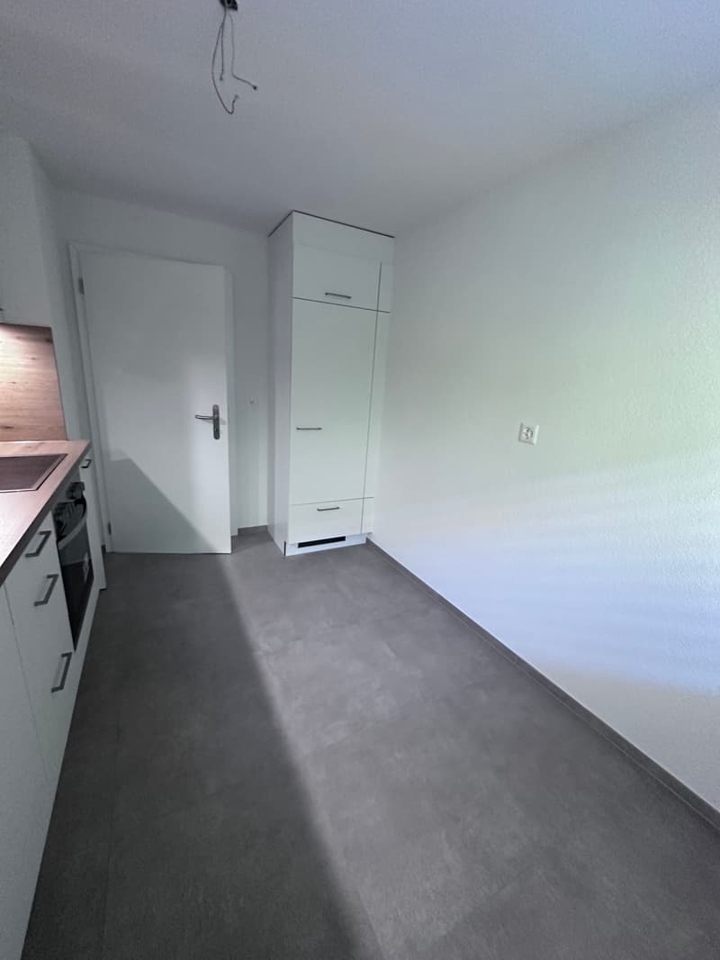 Kürzlich sanierte, moderne 3 Zimmer Wohnung mit Balkon – sofort verfügbar! (2)