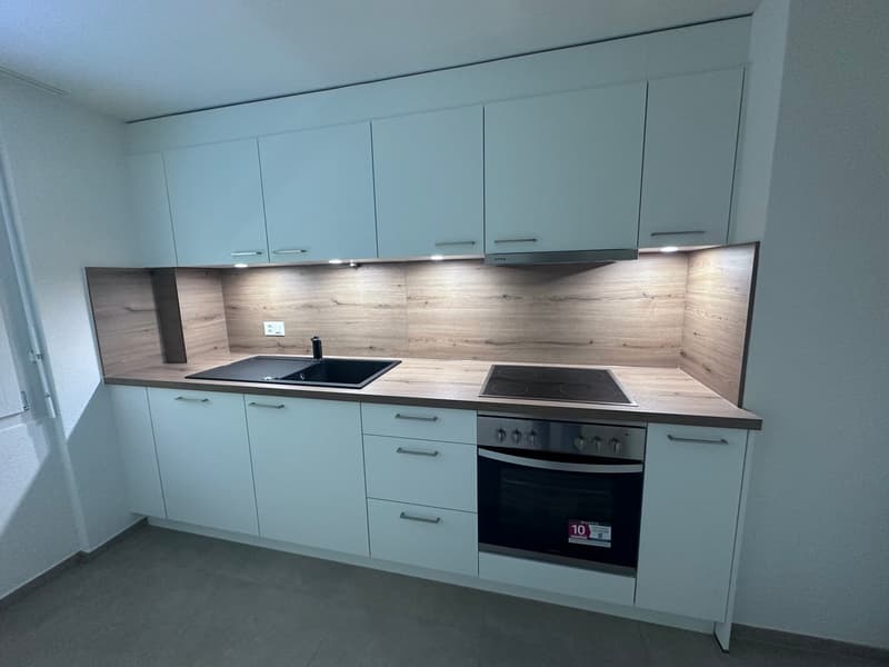 Frisch sanierte, moderne 3 Zimmer Wohnung mit Balkon – sofort verfügbar! (1)