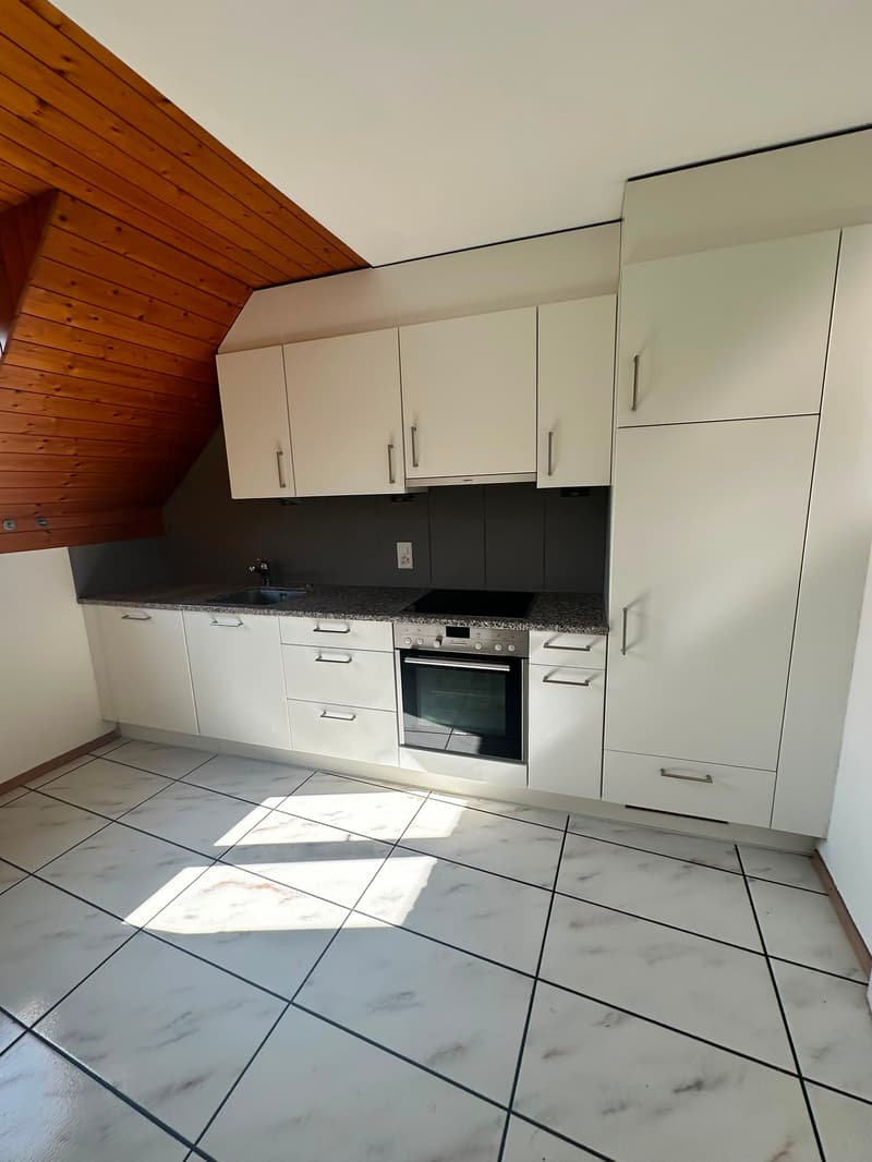 Gemütliche 4.5 Zimmer Wohnung mit grosser, überdachter Laube (1)