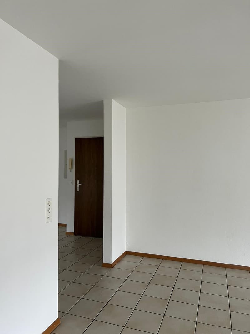 Schöne, grosszügige 3.5 Zimmer Wohnung mit neuer Küche (4)