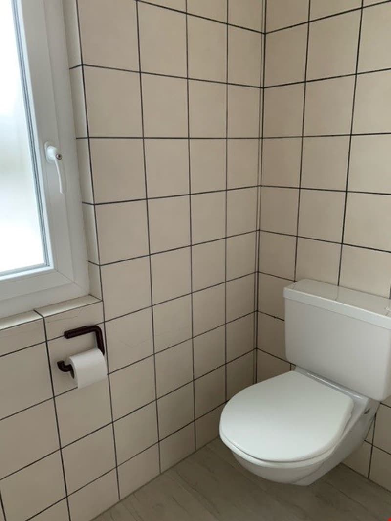 Helle 5.5-Zimmer-Büro-/Praxisräumlichkeiten - in Sissach BL (15)