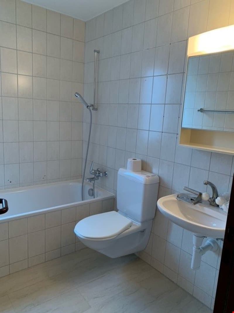 Helle 5.5-Zimmer-Büro-/Praxisräumlichkeiten - in Sissach BL (14)