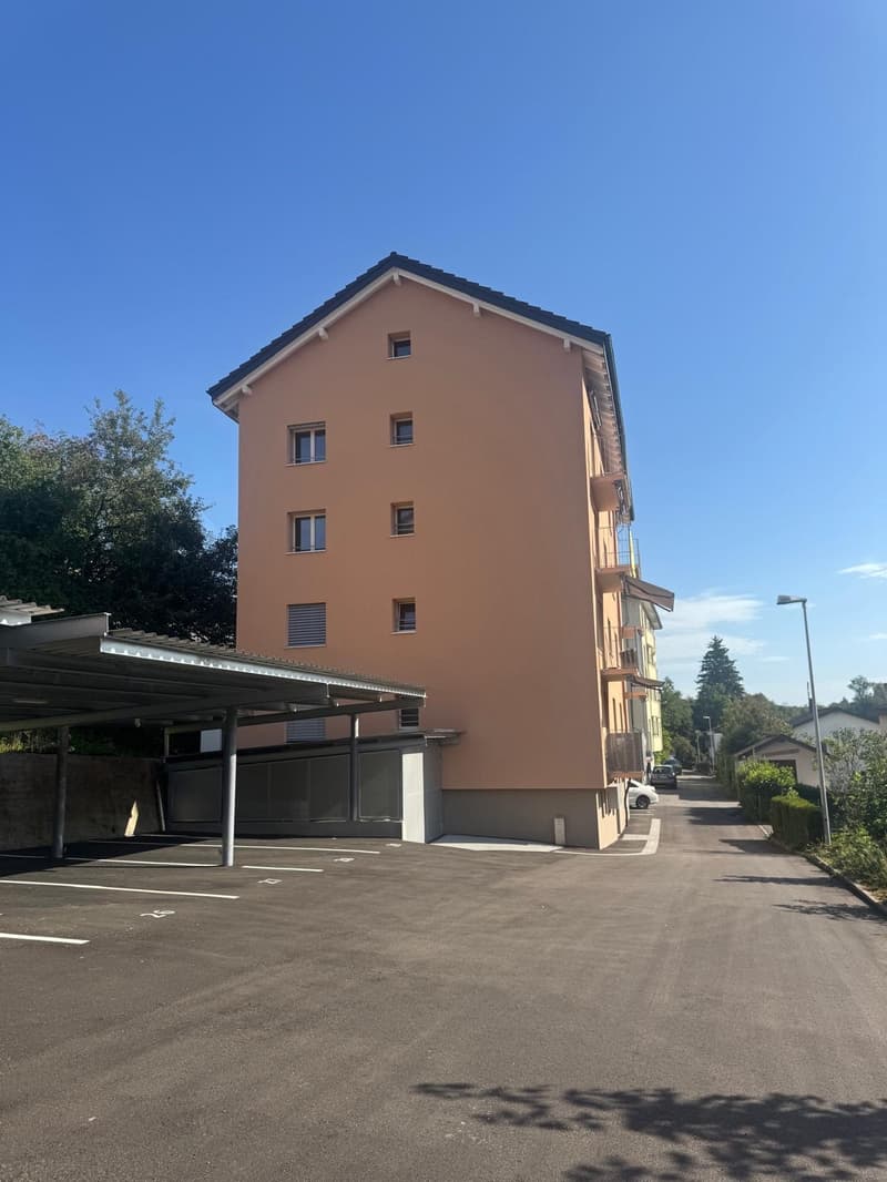 Sofort verfügbar! - frisch sanierte 3 Zimmer Wohnung mit Balkon (1)