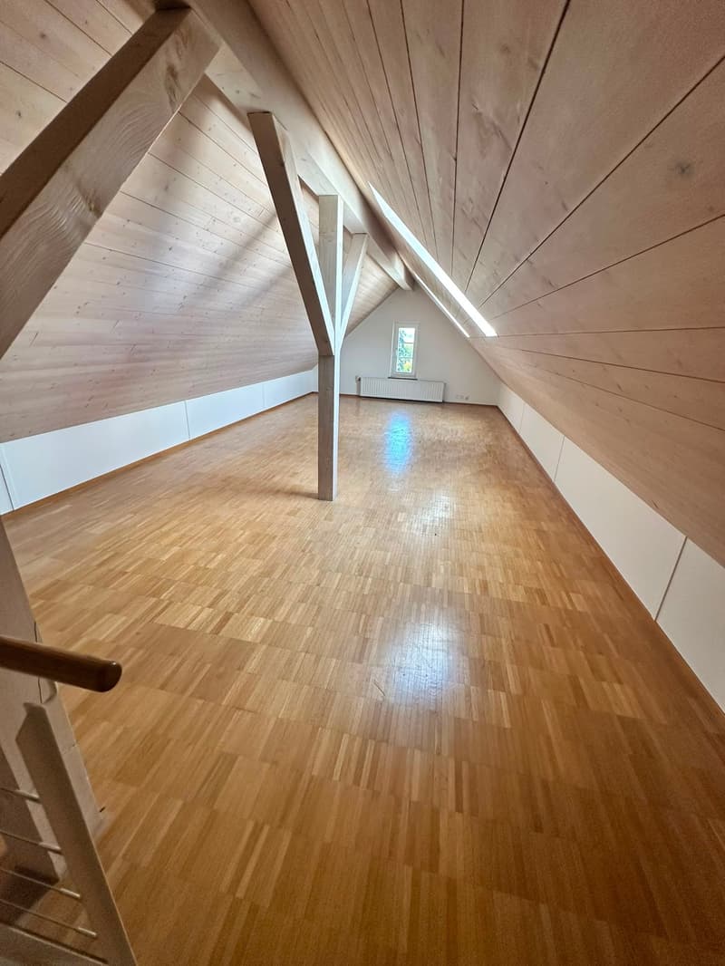 Renovierte 3.5-Zimmer-Dachwohnung - neue Küche (16)
